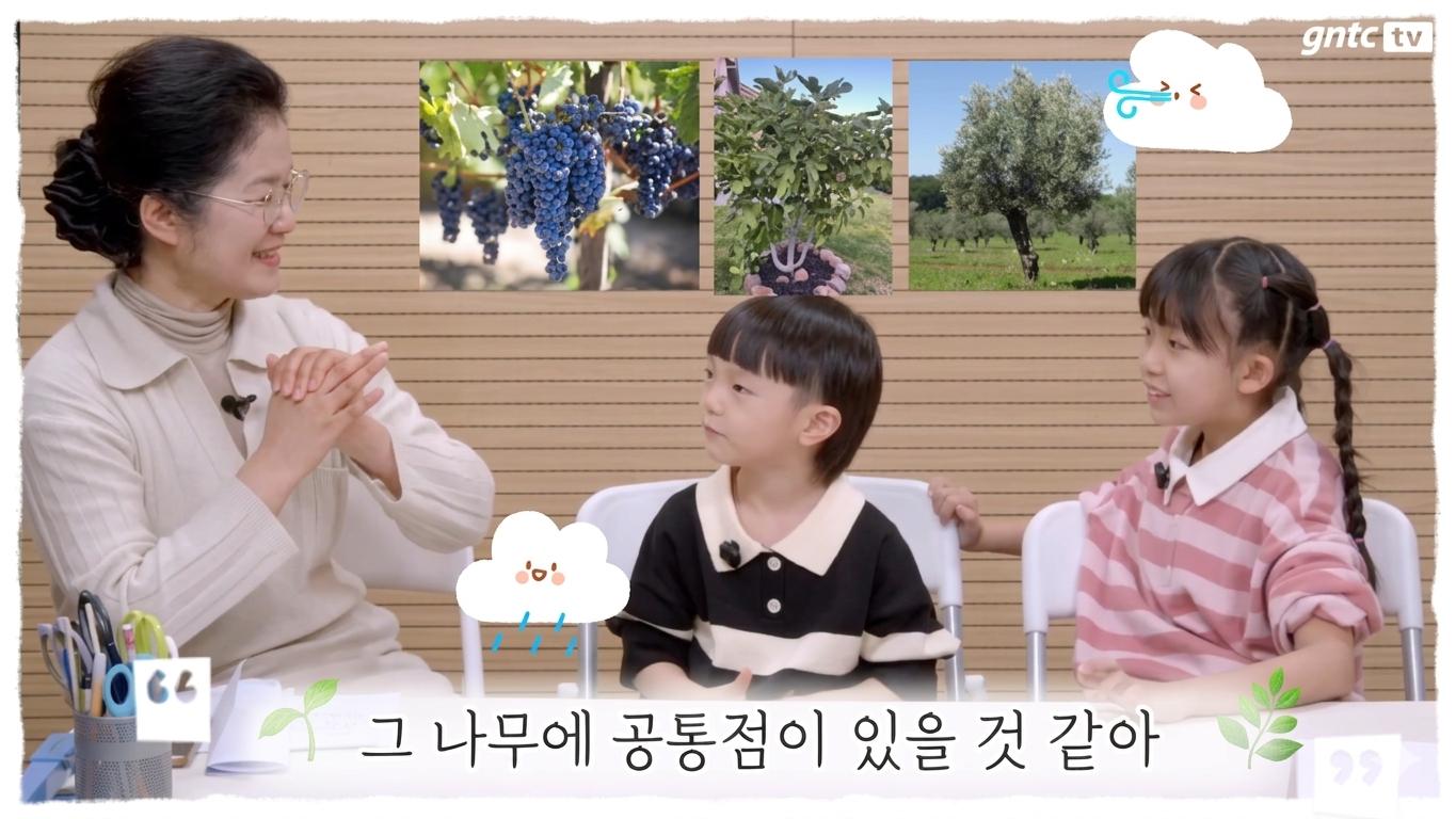 호아 머하니?-위로자라나는 나무